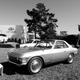 Illustration for article titled Japan Historics presented by Infiniti